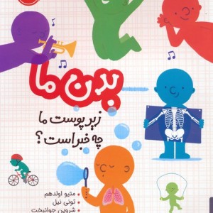 بدن ما زیر پوست ما چه خبر است؟