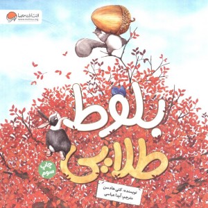 بلوط طلایی