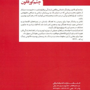 چشم کور قانون