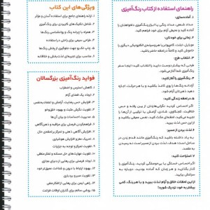 آسمان پرنده ها