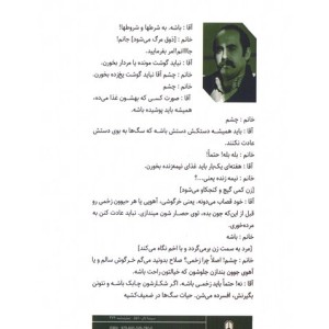 نانجیب