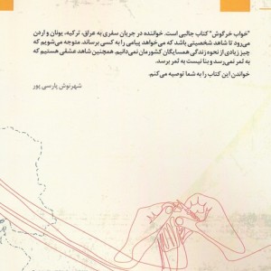 خواب خرگوش