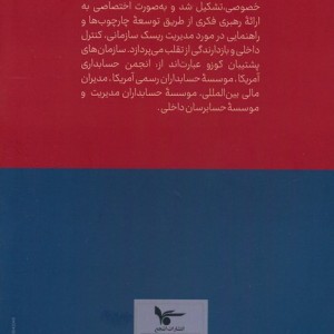 استفاده از اشتهای ریسک برای پیشرفت در دنیای متغیر
