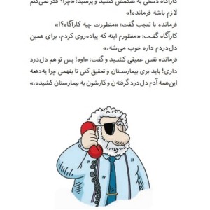 کارآگاه سیتو در ایران