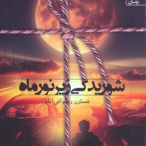 شوریدگی زیر نور ماه نشر سخن نویوپان