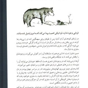 به دنبال ماه