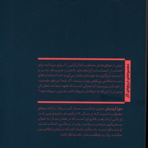 کتاب موفق مضطرب شمیز،رقعی،چشمه