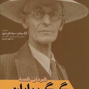 گرگ بیابان نشر فردوس