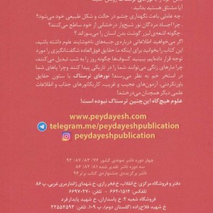 نورهای ترسناک