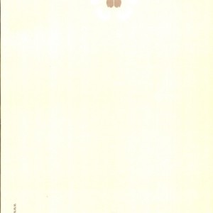 زنده بگور
