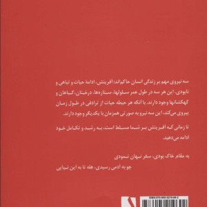 ذهن بی انتها جسم پردوام