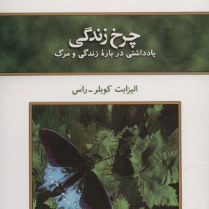 چرخ زندگی