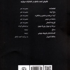 باغ آینه