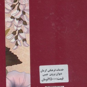 دیوان پروین اعتصامی نشر خدمات فرهنگی کرمان قطع جیبی