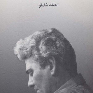 دشنه در دیس