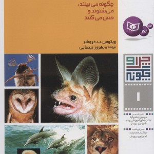 جانوران چگونه می بینند می شنوند و حس می کنند