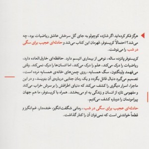 حادثه ای عجیب برای سگی در شب