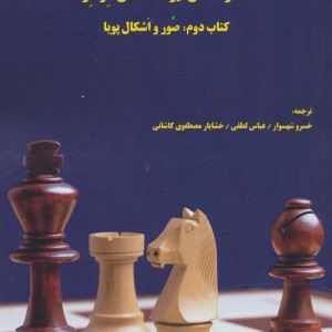 تئوری وسط بازی شطرنج