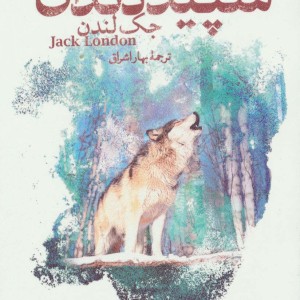 رمان های کلاسیک 20