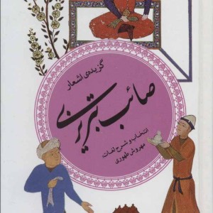 کتاب گزینه ادب پارسی17