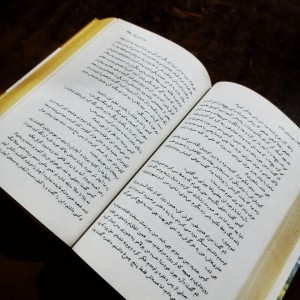 کتاب خوشه های خشم نشر نگاه قطع رقعی