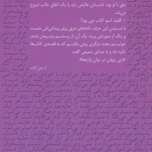 زنی پنهان در میان واژه ها - شهریار عباسی