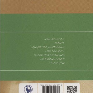 کتاب گزینه اشعار مهدی اخوان ثالث