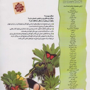 چراهای شگفت انگیز جنگل ها