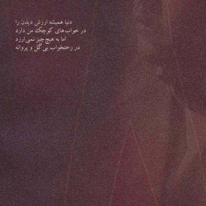 کنار پله تاریکی و چند غزل برای زنم