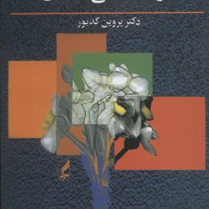 کتاب روان شناسی اخلاق نشر آگه اثر پروین کدیور
