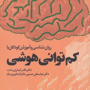 کم توانی هوشی