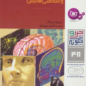 مغز و شگفتی هایش
