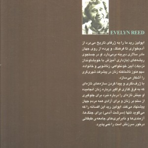 برادر سالاری