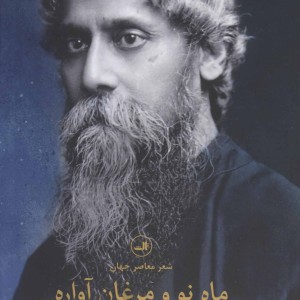 ماه نو و مرغان آواره