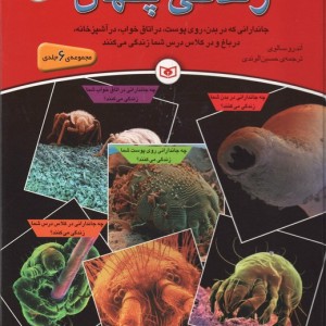 زندگی پنهان