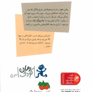 کتاب پیرزنی که در چرخ و فلک زندگی می کرد
