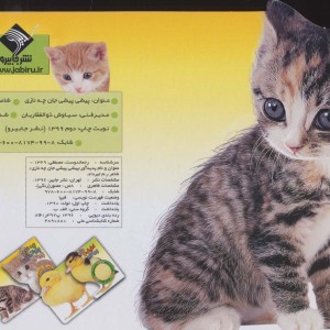 پیشی پیشی جان چه نازی نشر جابیرو