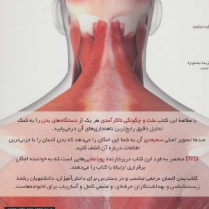 فرهنگ نامه بدن انسان