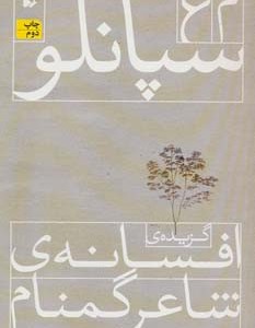 کتاب گزیده افسانه شاعر گمنام
