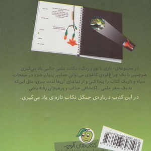 در اعماق جنگل