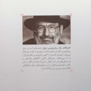 اعترافات یک رمان نویس جوان