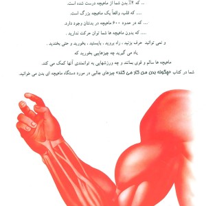 کتاب چگونه بدن من کار می کند 1