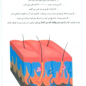 کتاب چگونه بدن من کار می کند 2