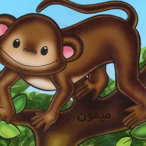 میمون