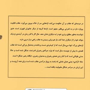 کتاب جدال اژدها و عقاب