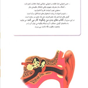 کتاب چگونه بدن من کار می کند12