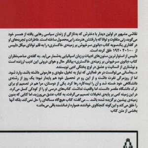 کتاب بانوی سرخ پوش بر زمینه خاکستری