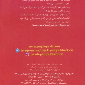 مغز پیچیده