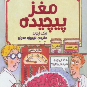 مغز پیچیده