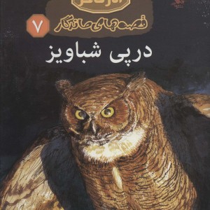 در پی شباویز